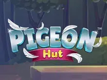 Pigeon Hut