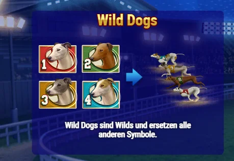 Wildhound Derby Feature