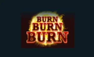 Burn Burn Burn Spiel